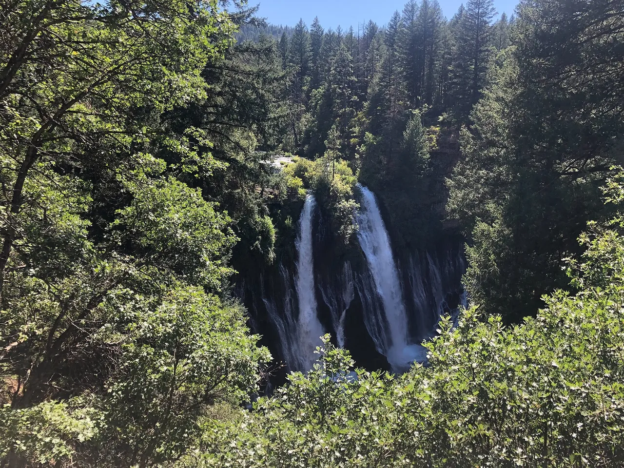 McArthur-Burney Falls 5