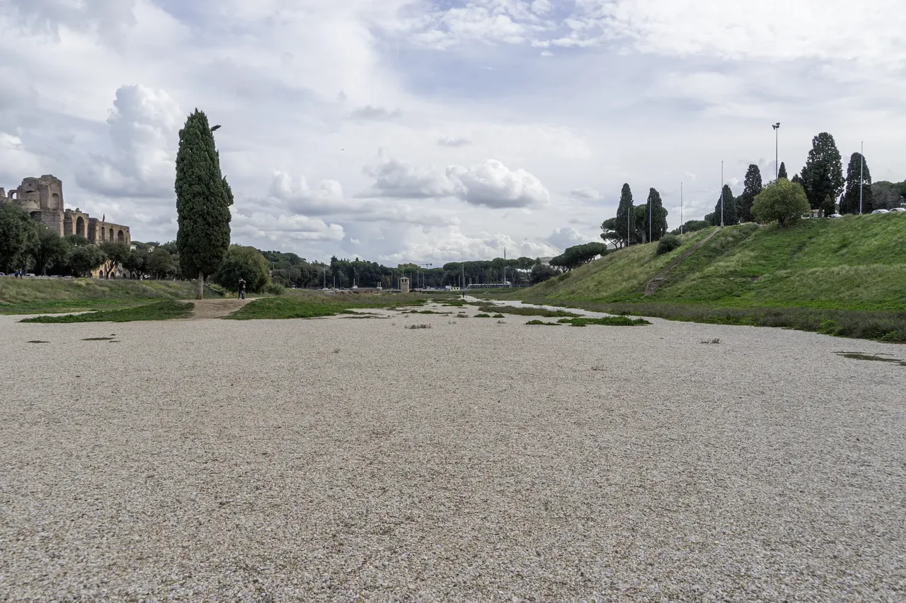 Tours & Activities in Circus Maximus