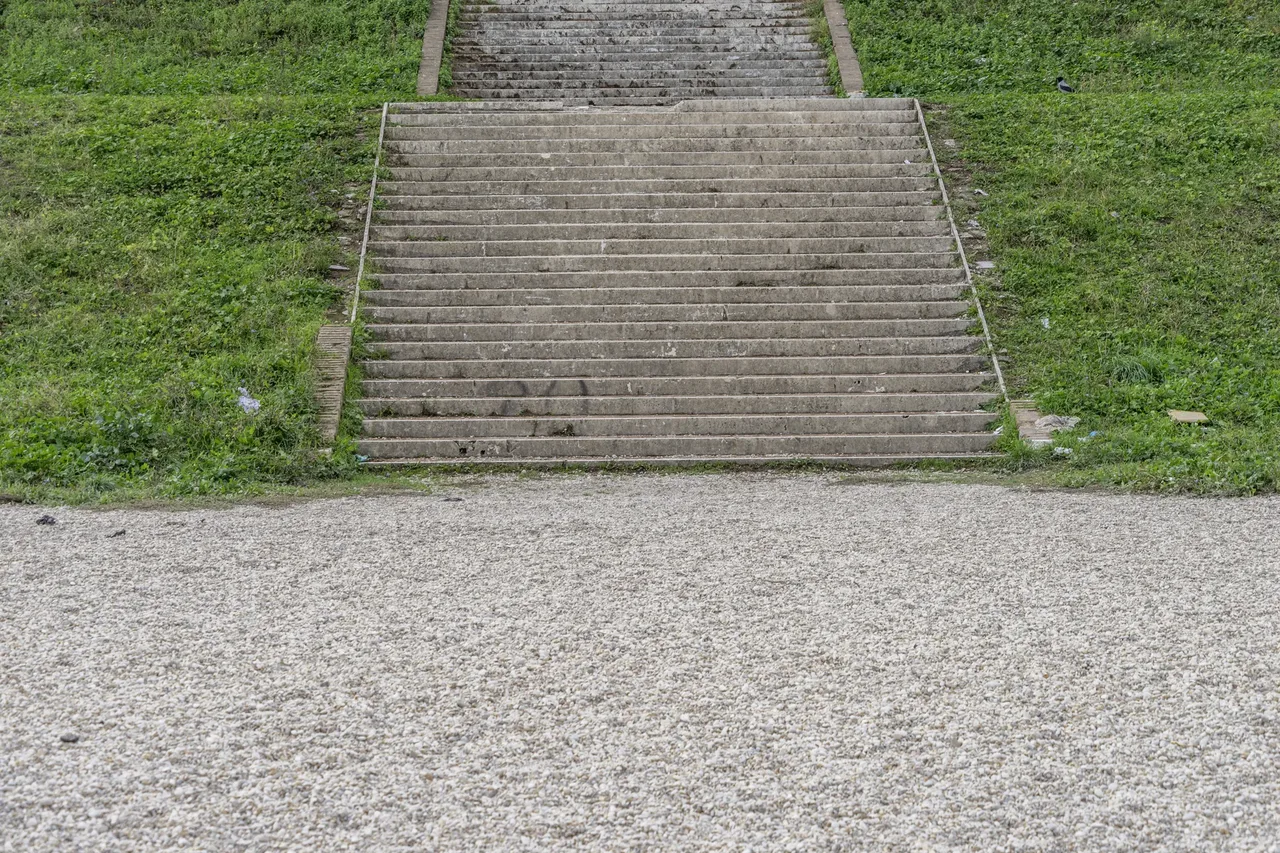 Tours & Activities in Circus Maximus