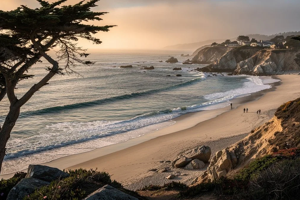 Tours & Activities in Carmel-by-the-Sea