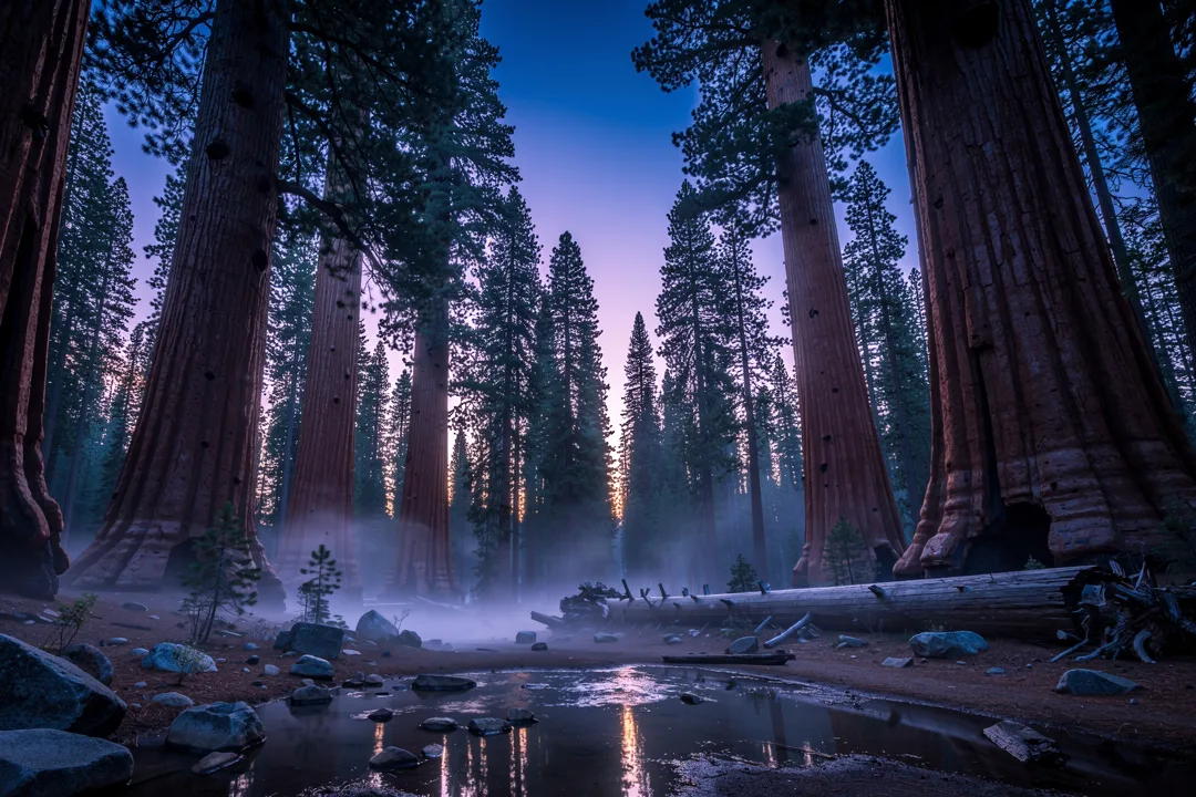 Tours & Activities in Sequoia National Park