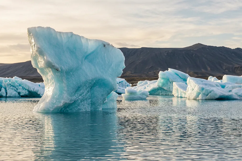 Tours & Activities in Jökulsárlón