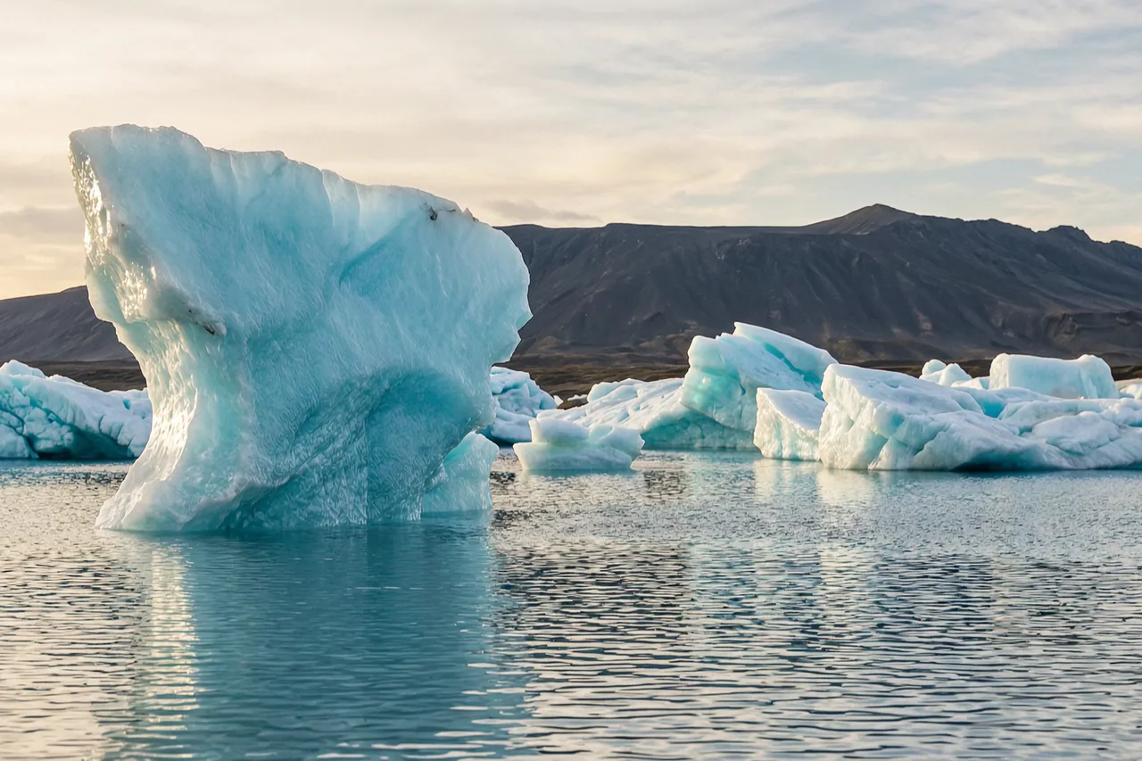 Tours & Activities in Jökulsárlón