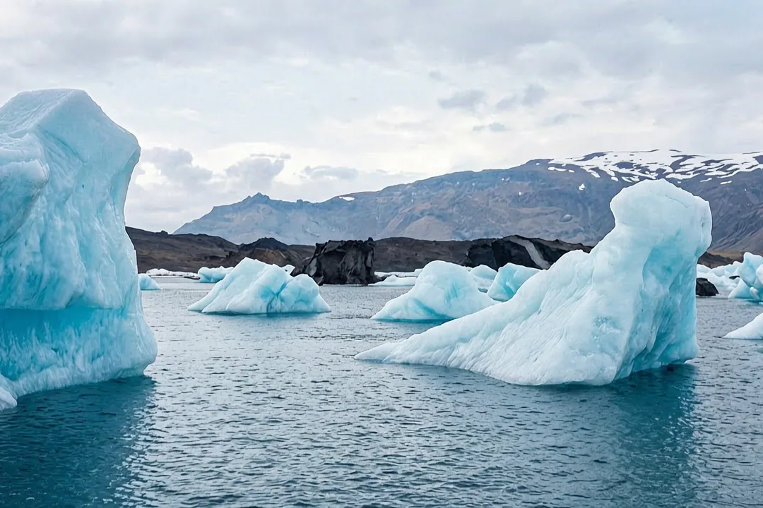 Tours & Activities in Jökulsárlón