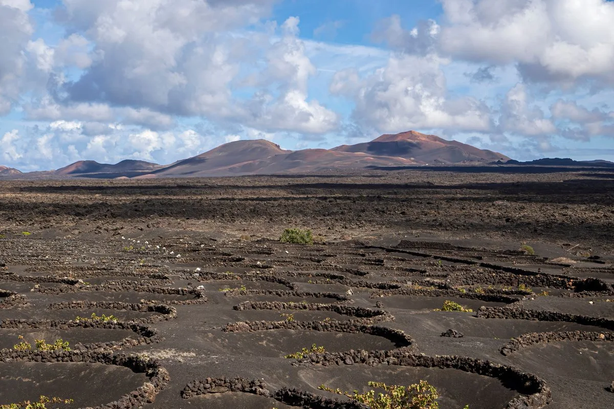 Tours & Activities in Lanzarote