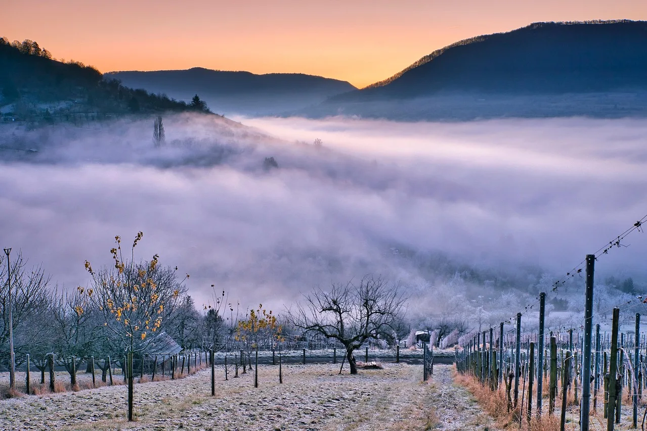 Tours & Activities in Yountville