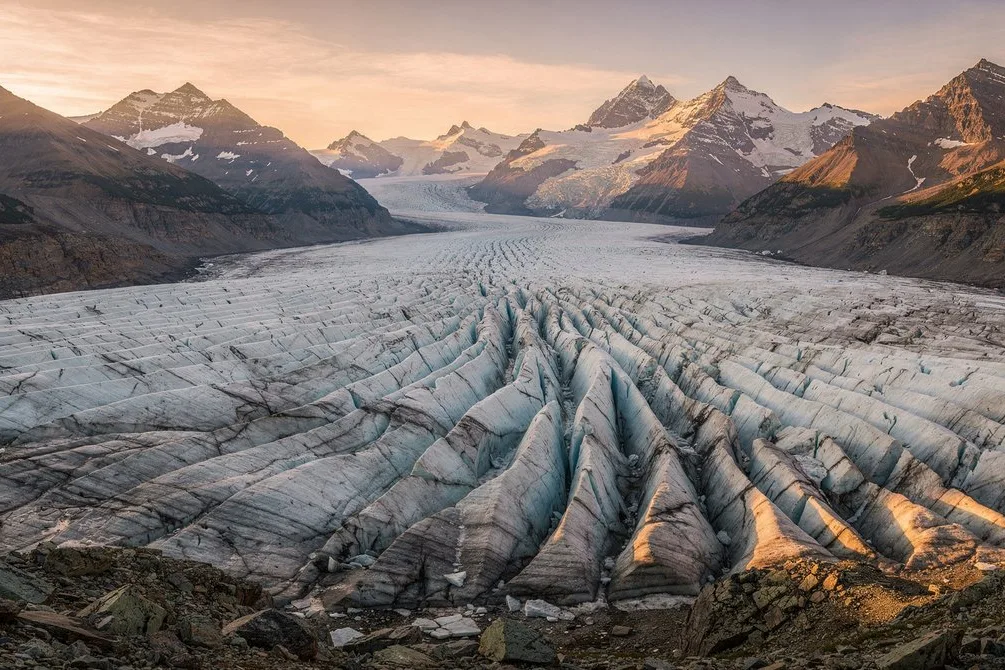 Tours & Activities in Columbia Icefield