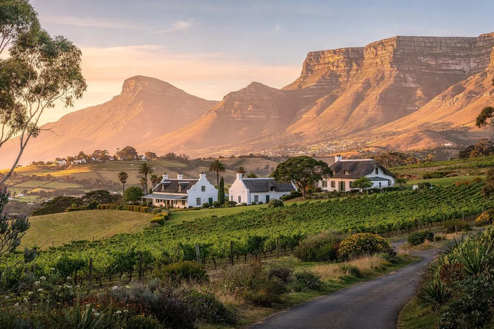 Tours & Activities in Somerset West