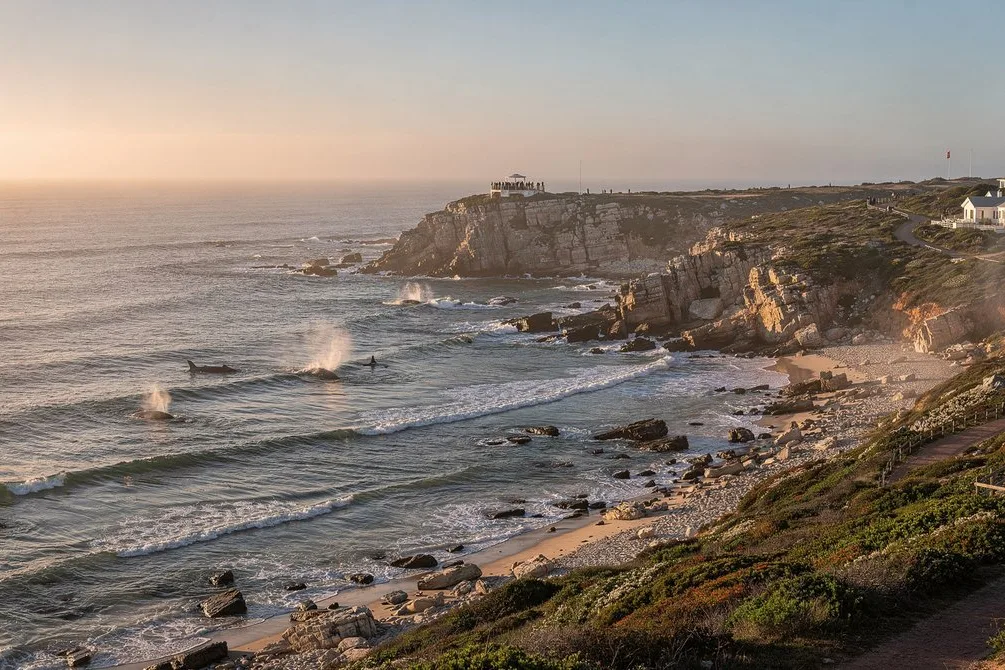 Tours & Activities in Hermanus