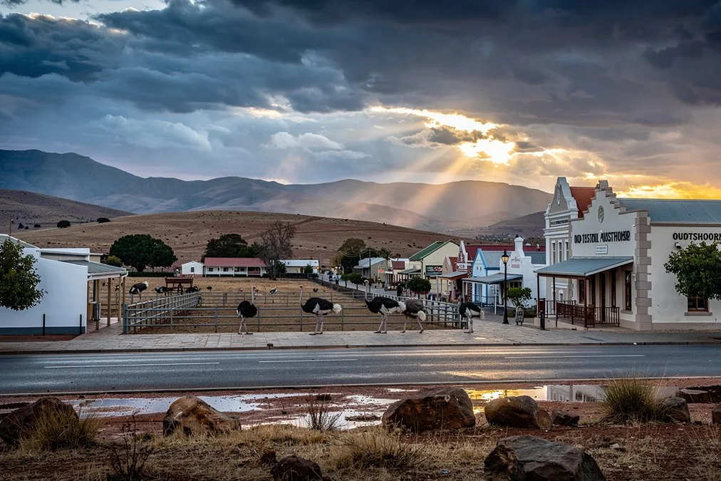 Tours & Activities in Oudtshoorn
