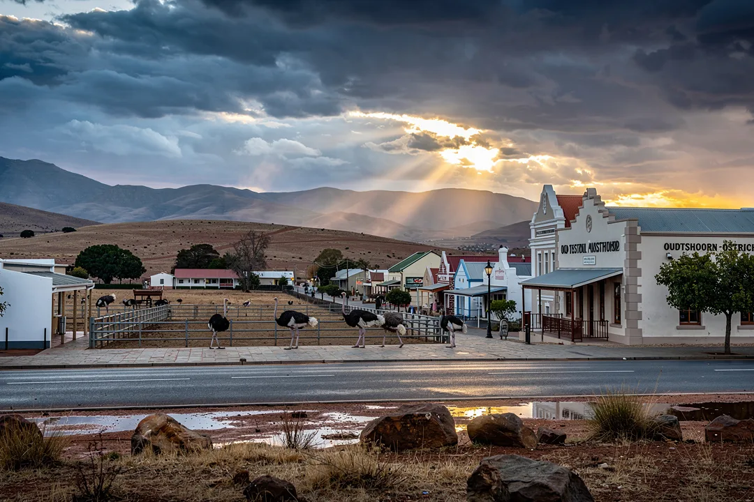 Tours & Activities in Oudtshoorn