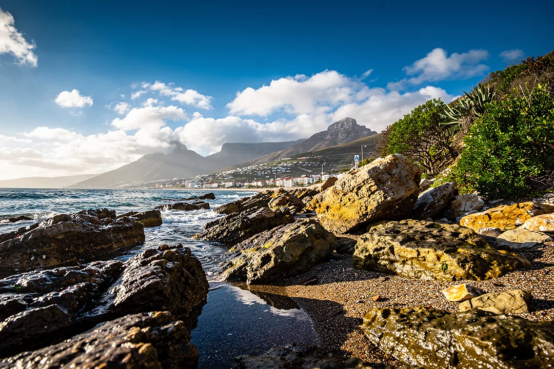 Tours & Activities in Gordon's Bay