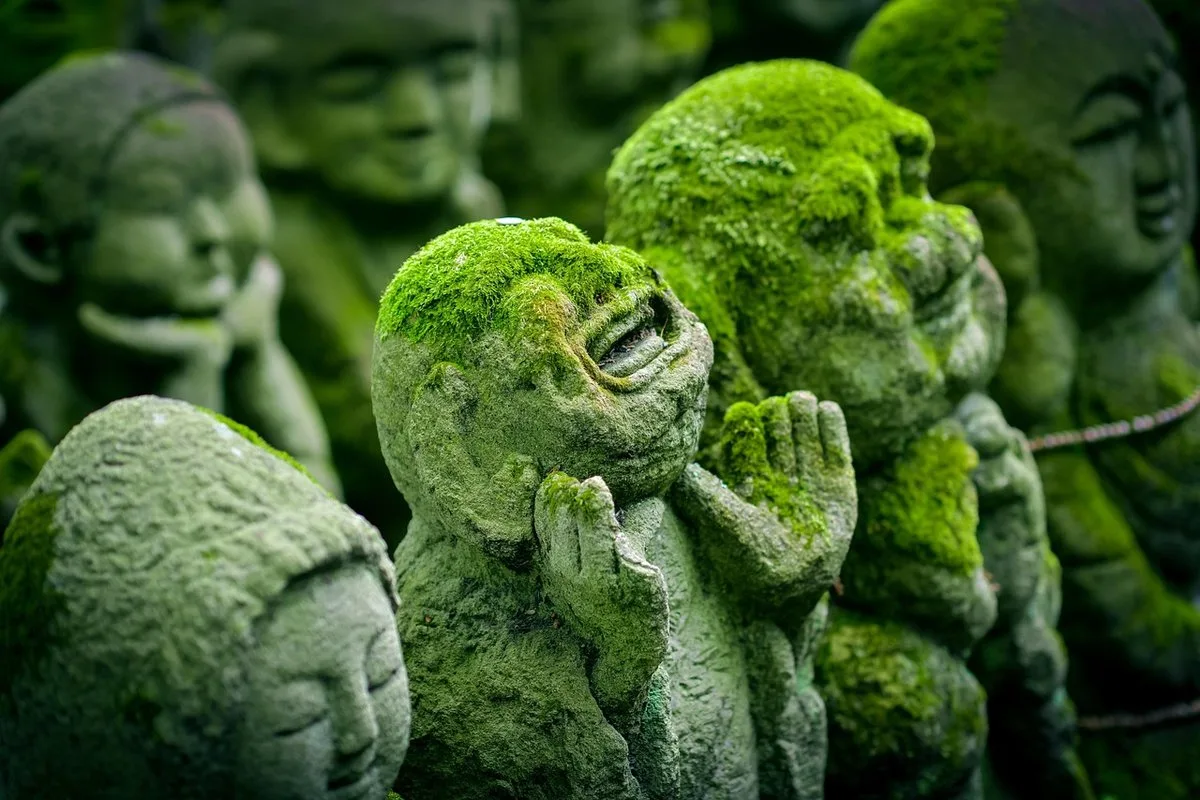 Tours & Activities in Japan