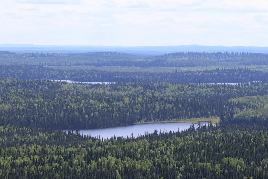 Tours & Activities in 101 Mile Lake