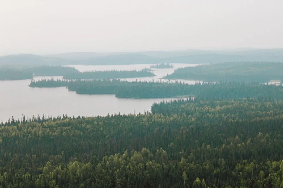 Tours & Activities in 101 Mile Lake