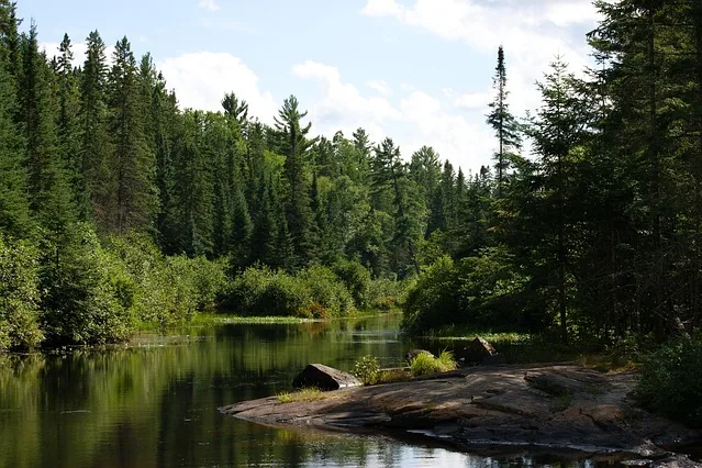 Tours & Activities in Alice Lake Provincial Park