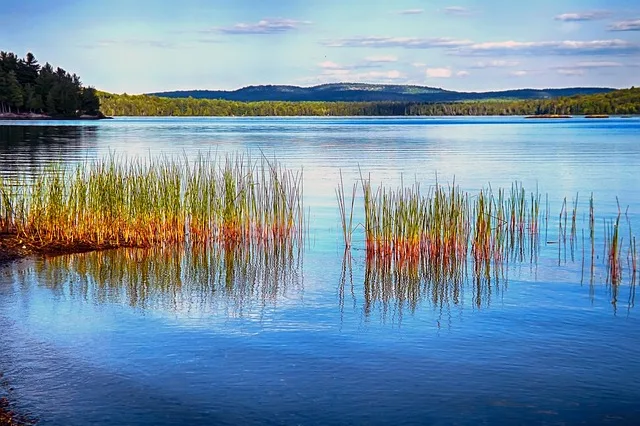 Tours & Activities in Allison Lake Provincial Park
