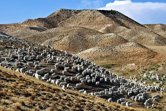 Tours & Activities in Angora Lakes