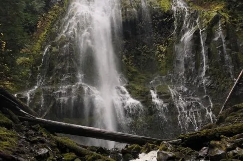 Tours & Activities in Mckenzie River