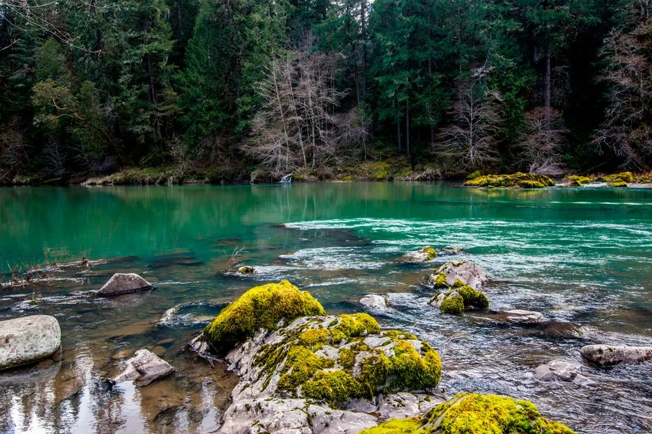 Tours & Activities in Mckenzie River