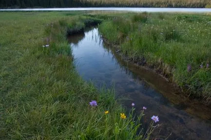 Tours & Activities in Three Creeks Lake