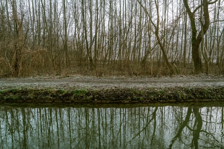 Tours & Activities in Alton Baker Canal