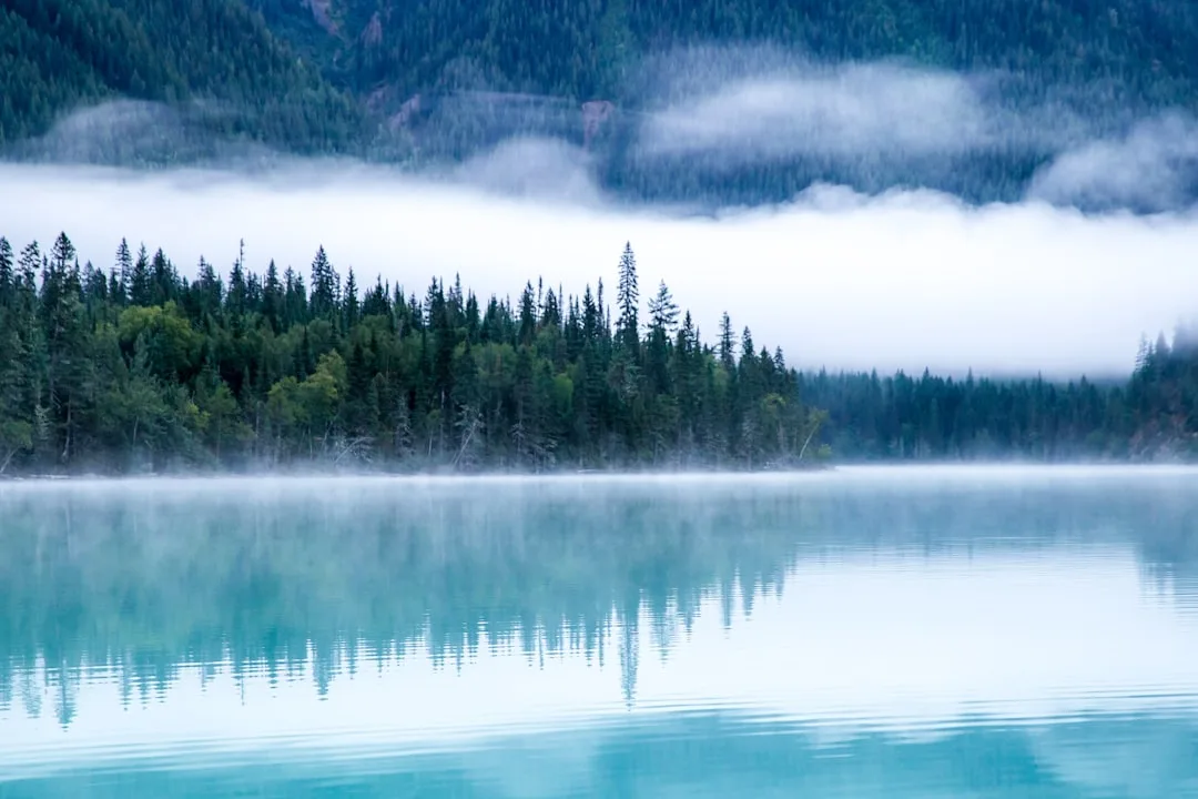 Tours & Activities in Kinney Lake