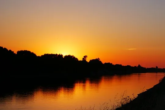 Tours & Activities in Sacramento River