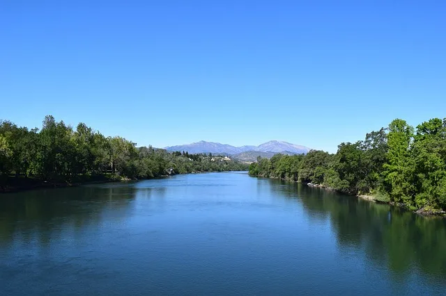 Tours & Activities in Sacramento River