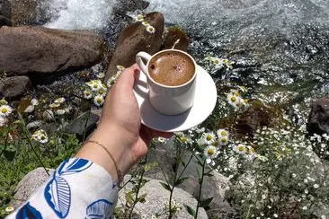 Tours & Activities in Coffee Creek