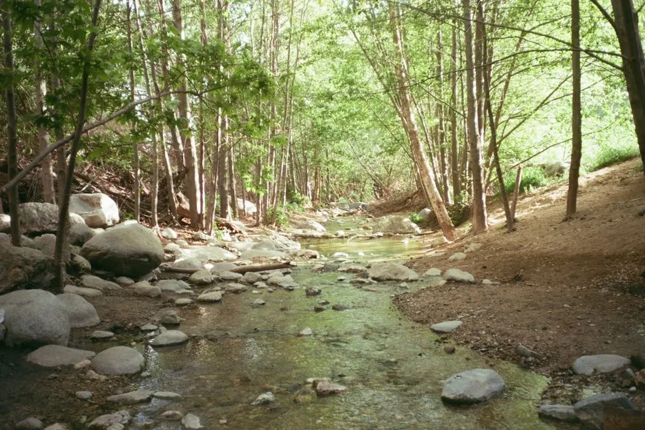 Tours & Activities in Coffee Creek