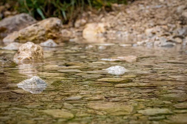 Tours & Activities in Clear Creek