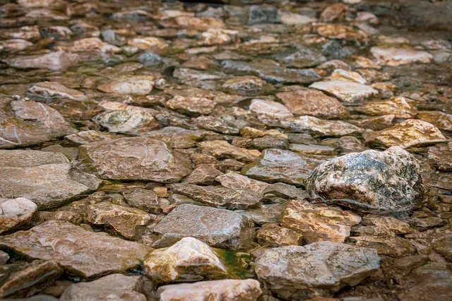 Tours & Activities in Clear Creek
