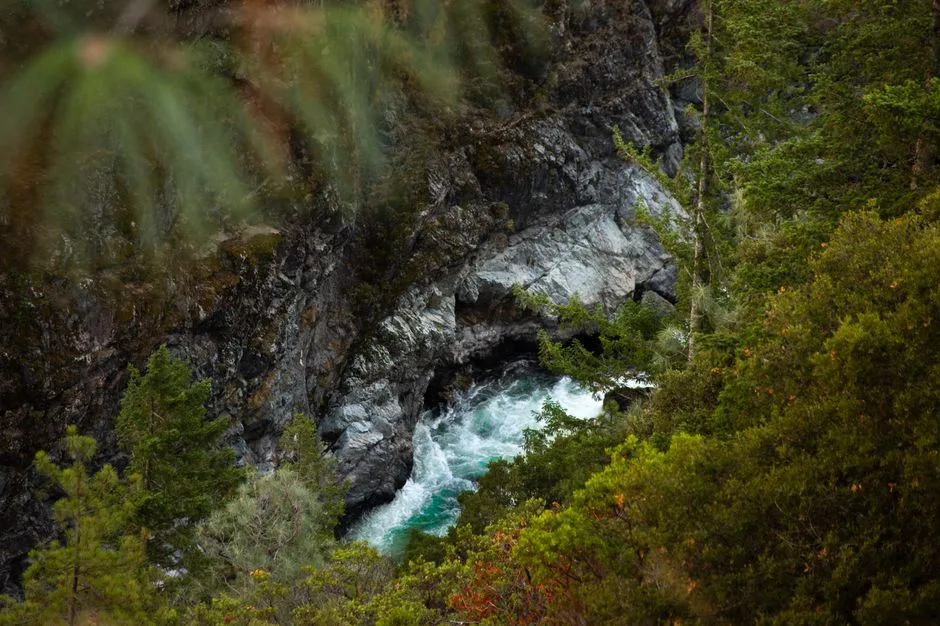 Tours & Activities in Trinity River East Fork