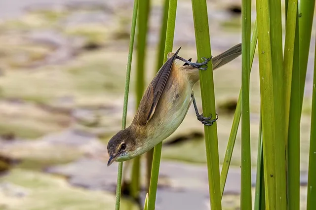 Tours & Activities in Carrville Pond