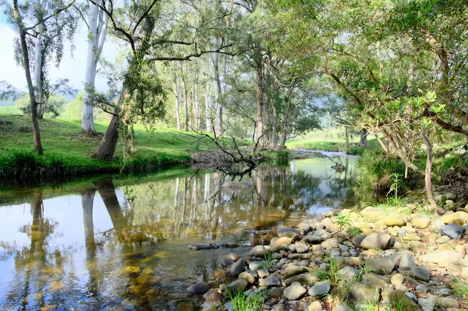 Tours & Activities in Whiskey Creek