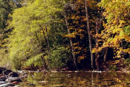 Tours & Activities in Alder Creek