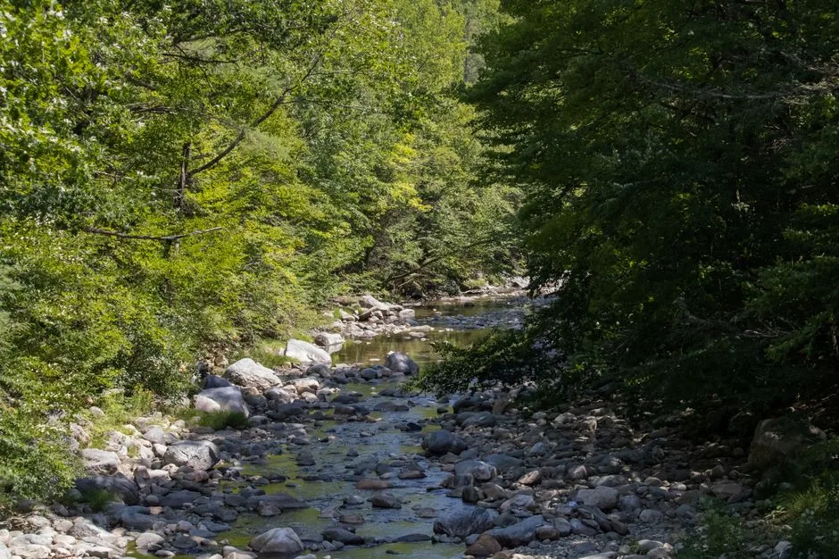 Tours & Activities in Alder Creek