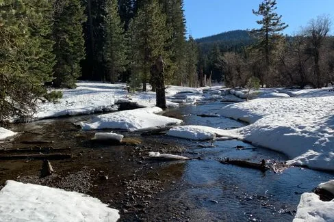 Tours & Activities in Alder Creek