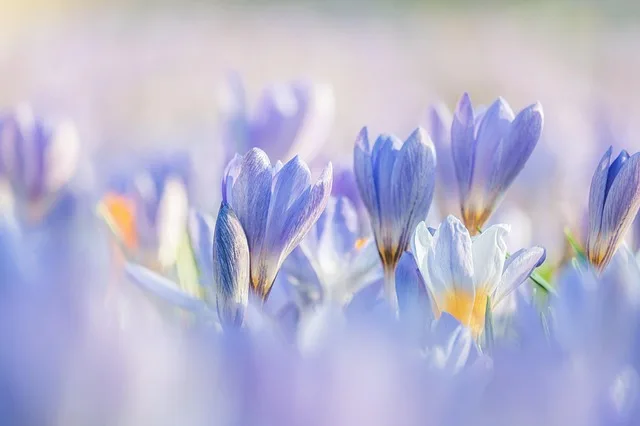 Tours & Activities in Harris Spring