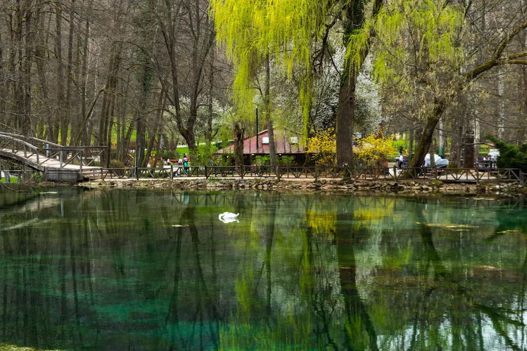 Tours & Activities in Kackley Spring