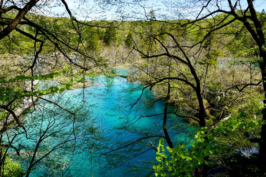 Tours & Activities in Kackley Spring