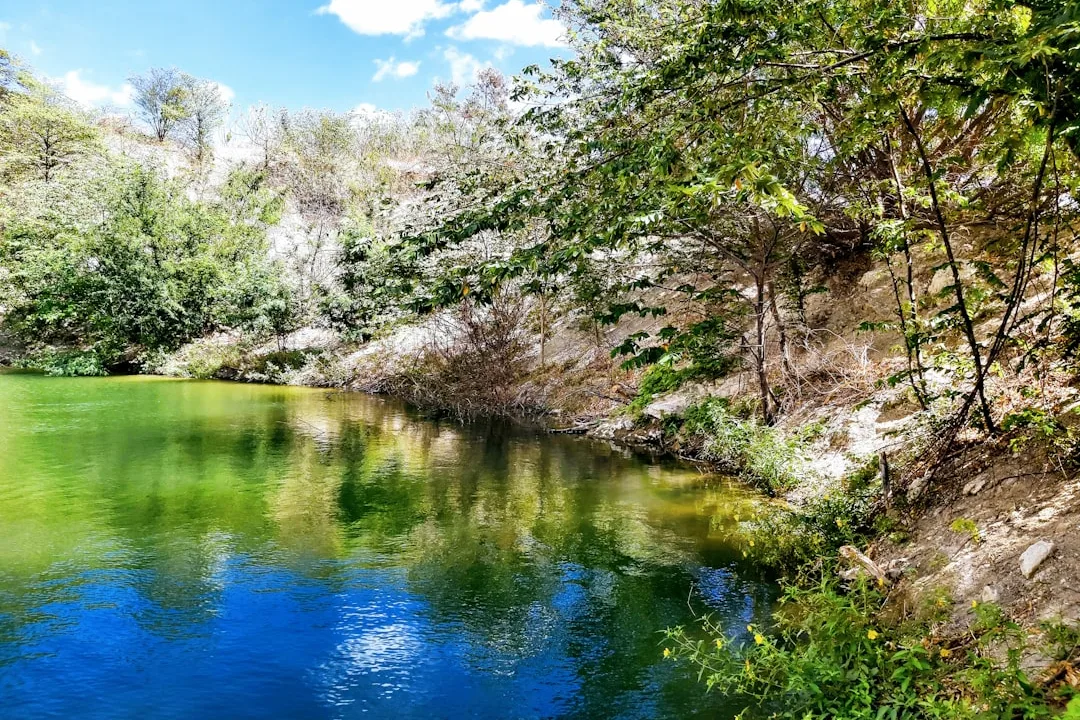Tours & Activities in Kackley Spring