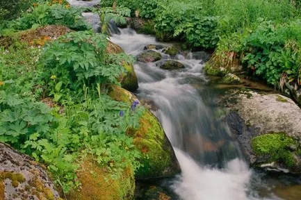 Tours & Activities in Trail Creek