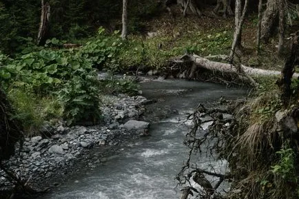 Tours & Activities in Trail Creek