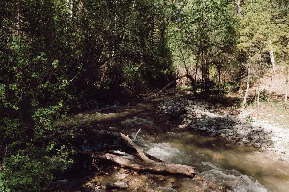 Tours & Activities in Trail Creek