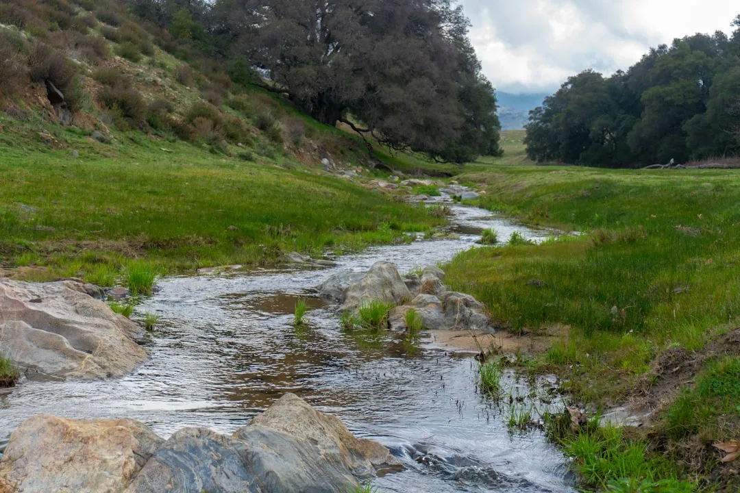 Tours & Activities in Warm Springs Creek
