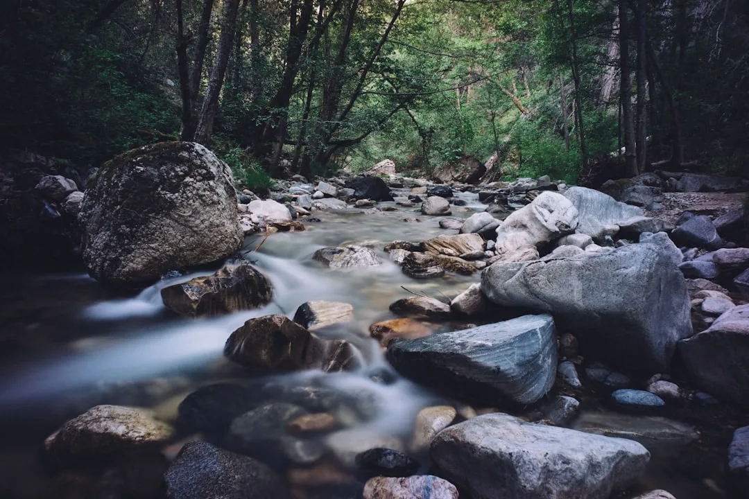Tours & Activities in Warm Springs Creek