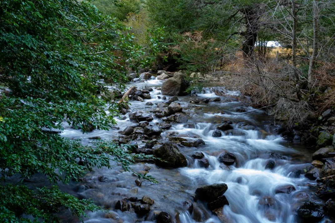 Tours & Activities in Warm Springs Creek