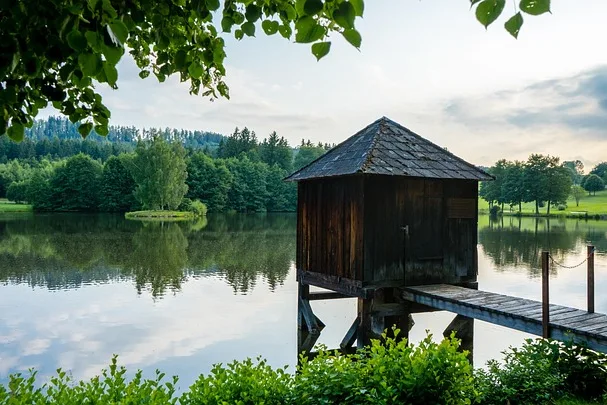 Tours & Activities in Yankee Fork Lower Dredge Pond